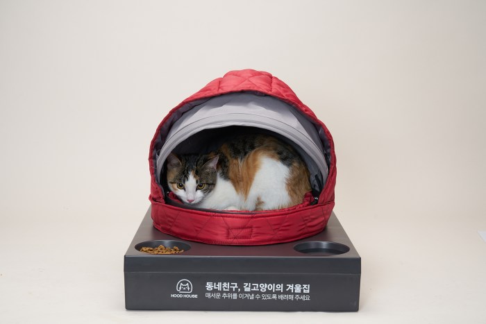 20171222_howlpot1636